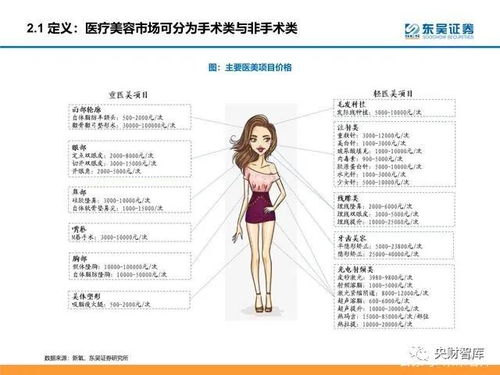 顏值經(jīng)濟(jì)產(chǎn)業(yè)研究 醫(yī)美和化妝品市場分析